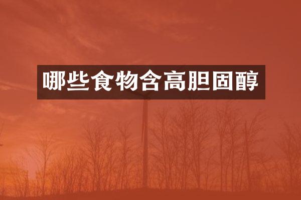 哪些食物含高胆固醇