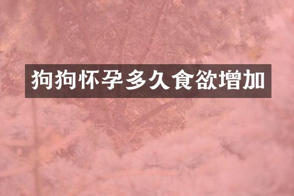 狗狗怀孕多久食欲增加