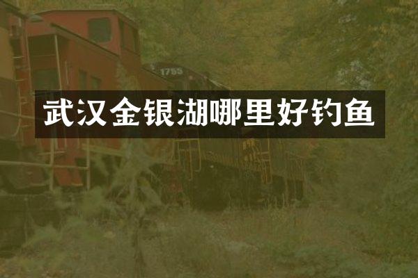 武汉金银湖哪里好钓鱼
