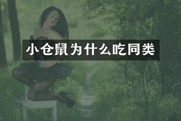 小仓鼠为什么吃同类