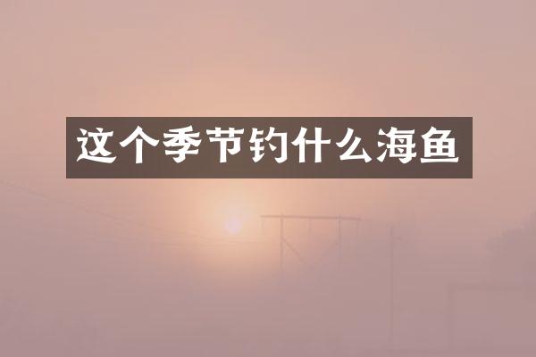 这个季节钓什么海鱼