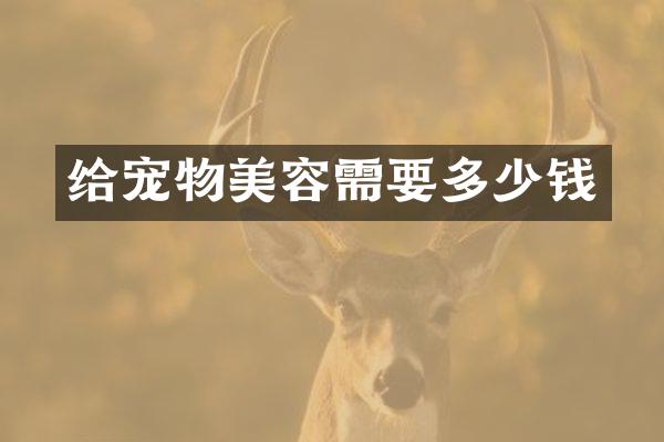 给宠物美容需要多少钱