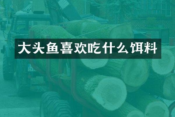 大头鱼喜欢吃什么饵料