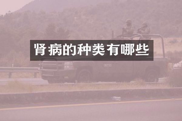 肾病的种类有哪些