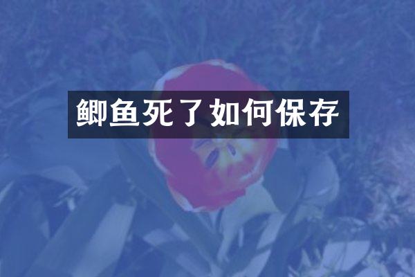 鲫鱼死了如何保存