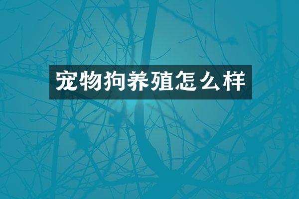 宠物狗养殖怎么样