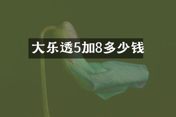 大乐透5加8多少钱