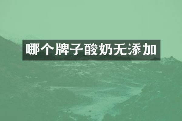 哪个牌子酸奶无添加