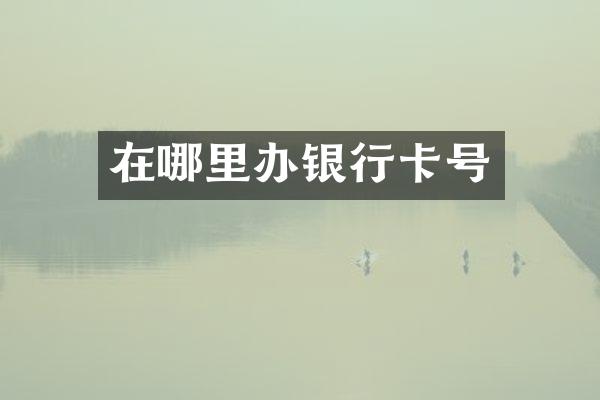 在哪里办银行卡号
