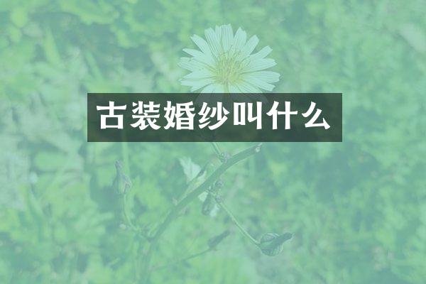 古装婚纱叫什么