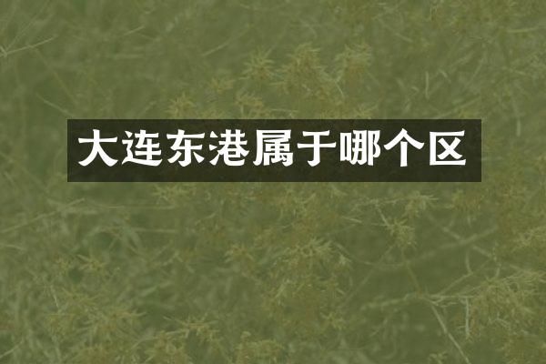 大连东港属于哪个区
