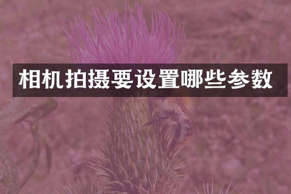 相机拍摄要设置哪些参数