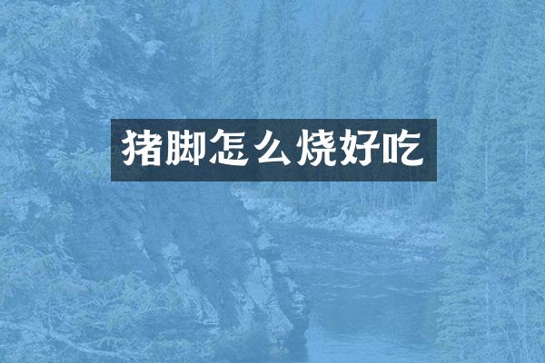 猪脚怎么烧好吃