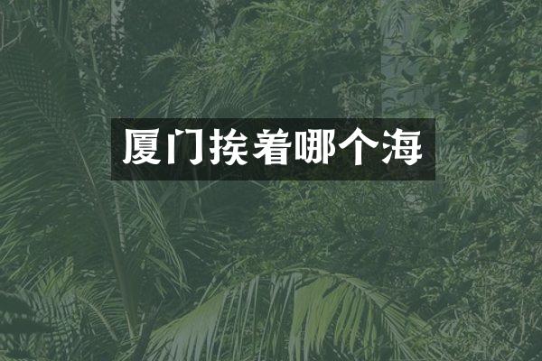 厦门挨着哪个海