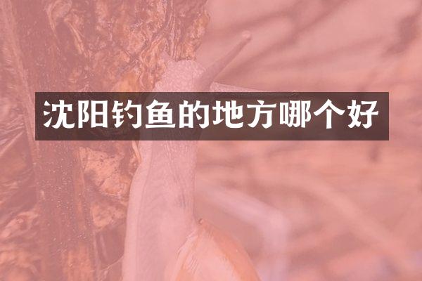 沈阳钓鱼的地方哪个好