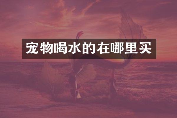 宠物喝水的在哪里买