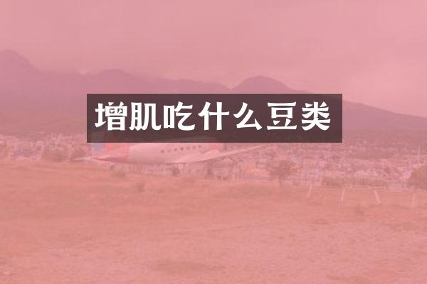 增肌吃什么豆类