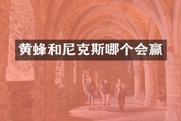 黄蜂和尼克斯哪个会赢