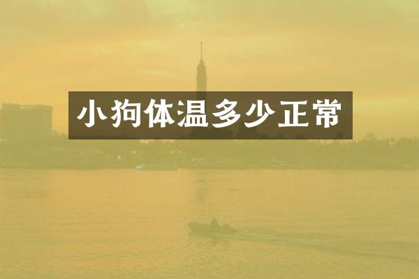 小狗体温多少正常