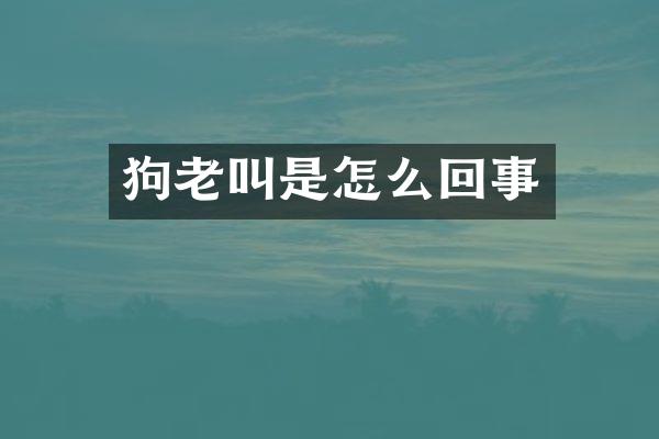 狗老叫是怎么回事