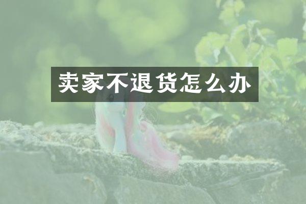 卖家不退货怎么办