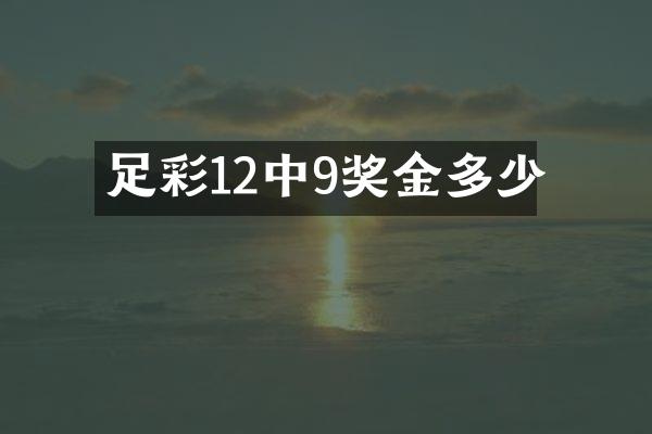 足彩12中9奖金多少