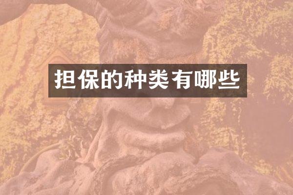 担保的种类有哪些