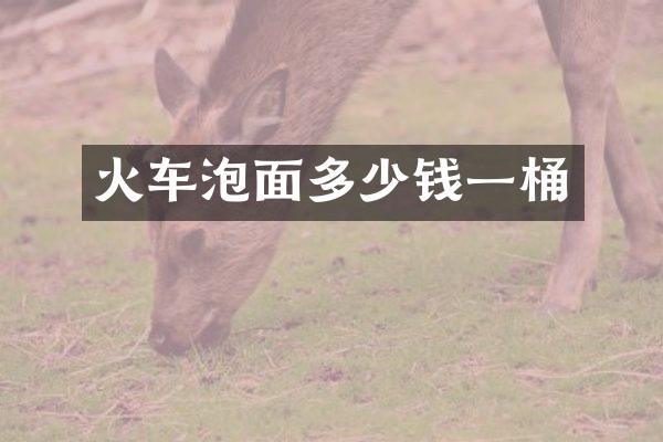 火车泡面多少钱一桶