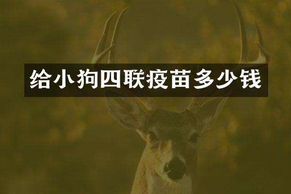 给小狗四联疫苗多少钱