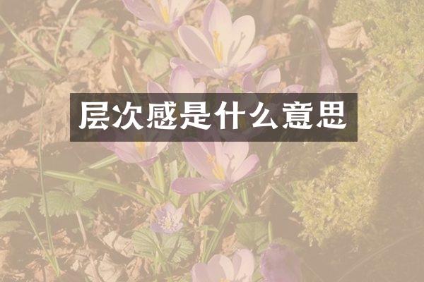 层次感是什么意思