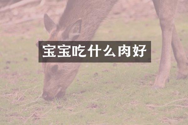 宝宝吃什么肉好