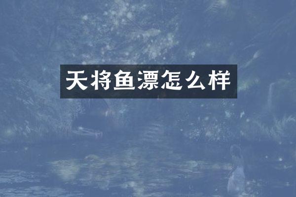 天将鱼漂怎么样