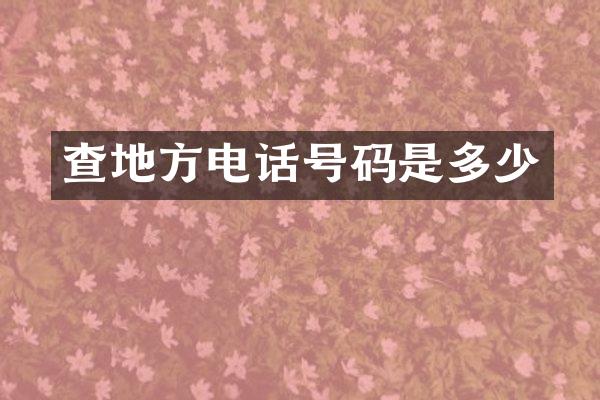 查地方电话号码是多少