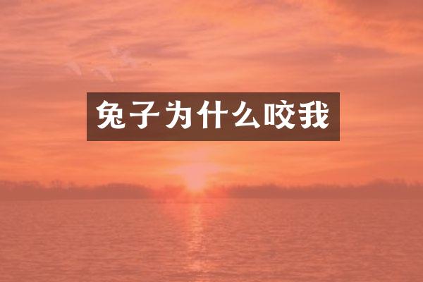 兔子为什么咬我