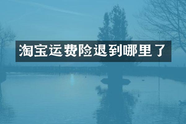 淘宝运费险退到哪里了