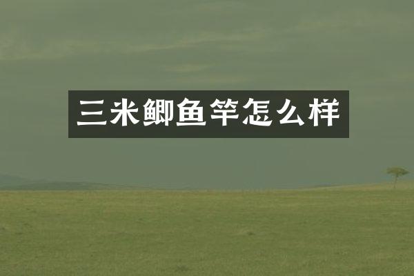 三米鲫鱼竿怎么样