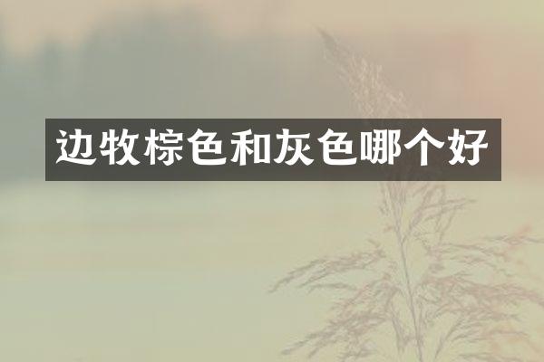 边牧棕色和灰色哪个好