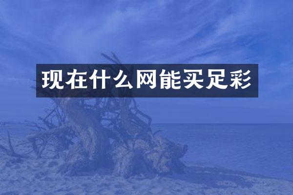 现在什么网能买足彩