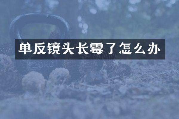 单反镜头长霉了怎么办