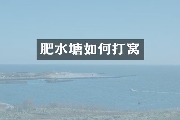 肥水塘如何打窝