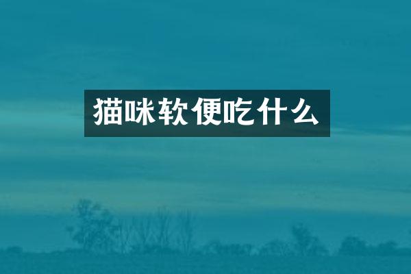 猫咪软便吃什么