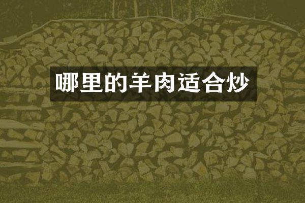 哪里的羊肉适合炒