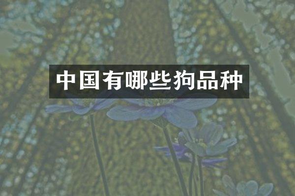 中国有哪些狗品种