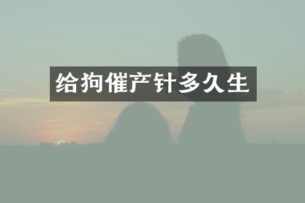 给狗催产针多久生