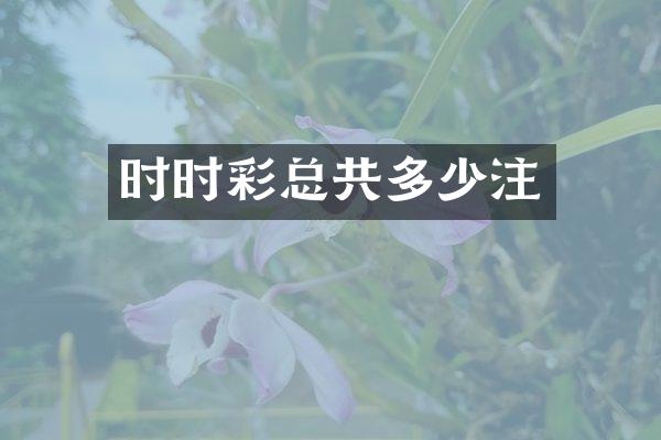 时时彩总共多少注