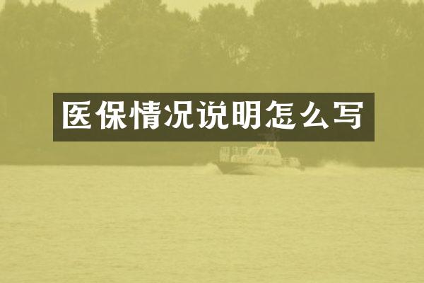 医保情况说明怎么写