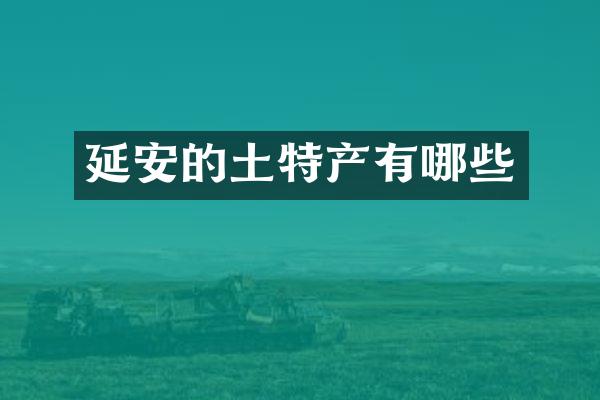 延安的土特产有哪些