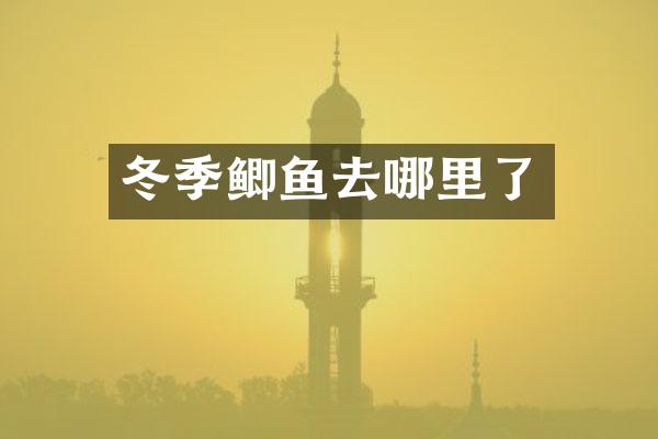 冬季鲫鱼去哪里了