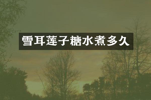 雪耳莲子糖水煮多久