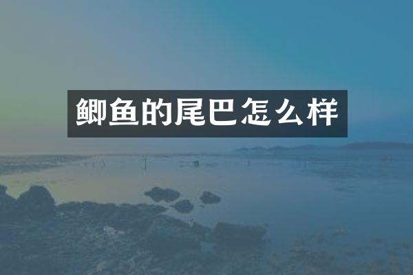鲫鱼的尾巴怎么样